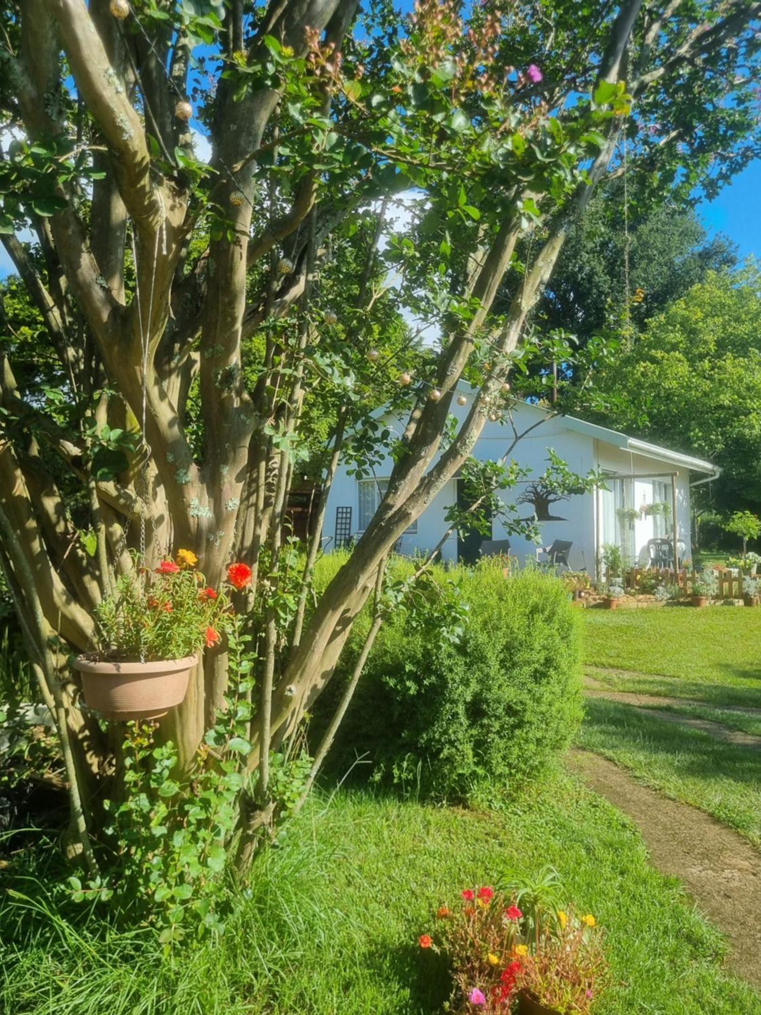 The Cottage On The Corner Himeville Exterior foto